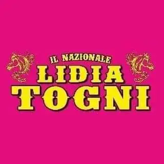 CIRCO LIDIA TOGNI è PLATINUM PARTNER della 25^ edizione dell’International Circus Festival of Italy – foto 1