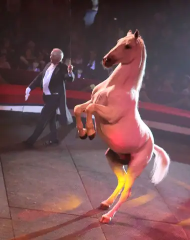 La più autentica cultura del Circo, la ricchezza dell’antica tradizione circense italiana, il prestigio di una grande famiglia di artisti, l’esaltazione del rapporto uomo – animali: con VINICIO CANESTRELLI TOGNI si realizza l’incanto. – foto 3