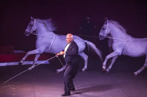 La più autentica cultura del Circo, la ricchezza dell’antica tradizione circense italiana, il prestigio di una grande famiglia di artisti, l’esaltazione del rapporto uomo – animali: con VINICIO CANESTRELLI TOGNI si realizza l’incanto. – foto 1