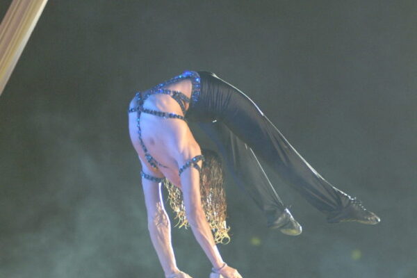 1-GOLD-PRIZE-CARLO-DAMICO-ITALY-HANDSTAND-e1527769014782-679x1024