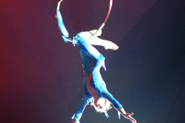 3-BRONZE-PRIZE-MARINA-TOMANOV-USA-AERIAL-HOOP-679x1024