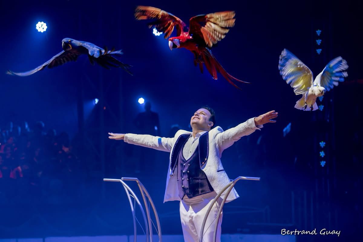 Countdown: – 55 days to the Festival