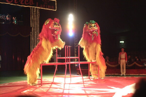 CIRCO-NAZIONALE-CINESE-HENAN-CINA-LEONI-DANZANTI-1024x679