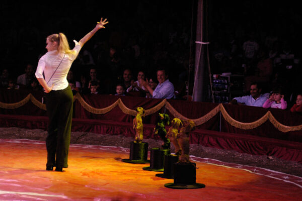 DIANA-VEDYASHKINA-UKRAINE-DOG-ACT-1024x681