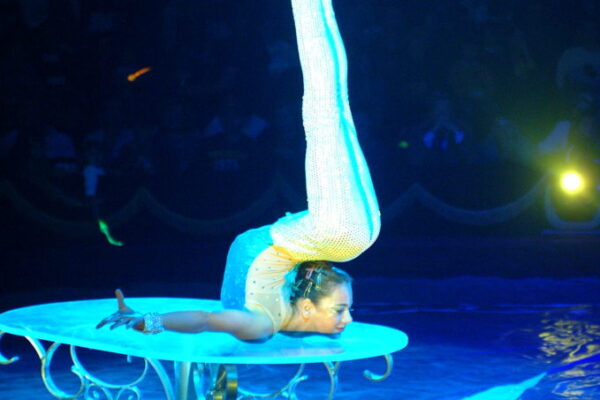 ELAYANE-LOZANO-MEXICO-CONTORTION-e1531125912278-679x1024