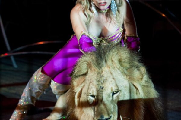 ELISABETTA-BIZZARRO-ITALY-BIG-CATS_risultato-681x1024