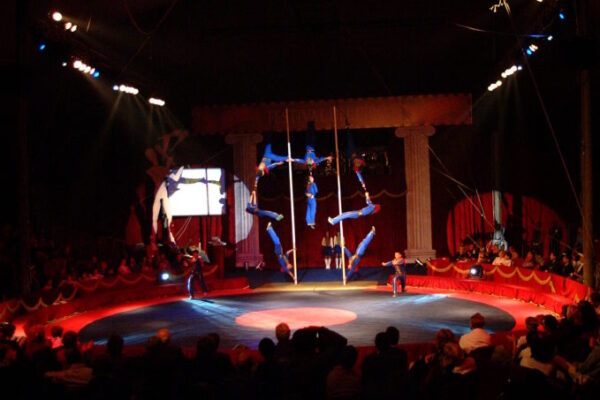 SAKHA-CIRCUS-RUSSIA-PERCH-ACT-679x1024