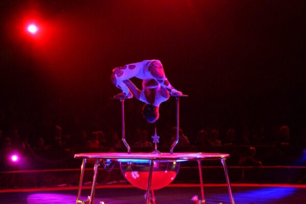 SUE-ELLEN-ROCCUZZO-ITALY-CONTORTION-679x1024