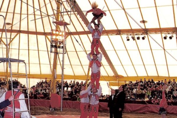 TROUPE-BILEA-683x1024