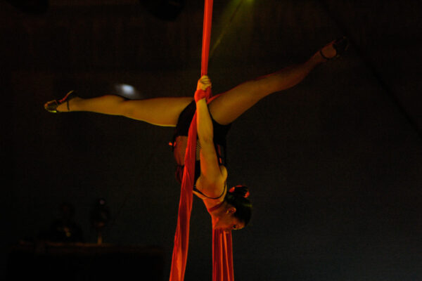 VANESSA-MEDINI-ITALY-AERIAL-SILKS-1024x681