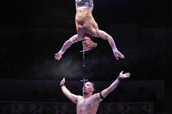 VARDANYAN BROTHERS