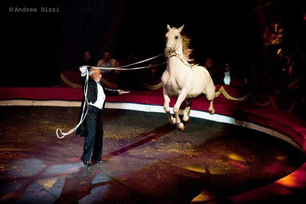 VINICIO-CANESTRELLI-TOGNI-ITALY-HORSES-SPECIAL-GUEST_risultato-1024x681